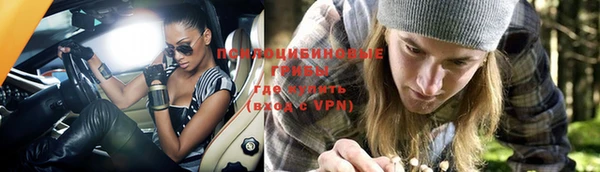 тгк Аркадак