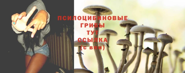 тгк Аркадак