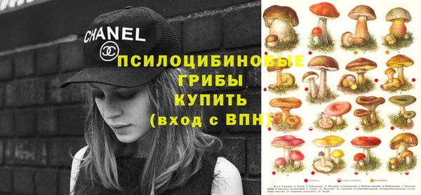 мет Арсеньев
