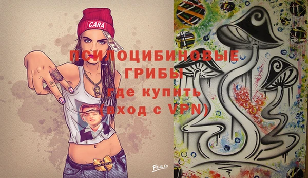 прущие крисы Армянск