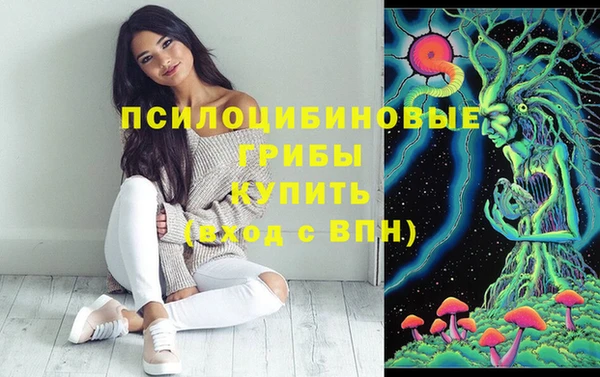эйфоретик Семикаракорск