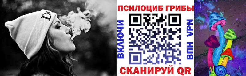 kraken онион  Бабушкин  мориарти состав  Псилоцибиновые грибы мицелий 